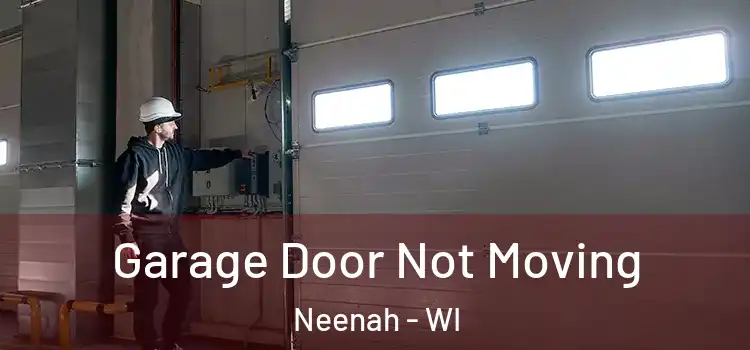  Garage Door Not Moving Neenah - WI