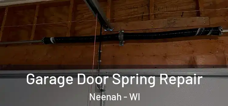  Garage Door Spring Repair Neenah - WI
