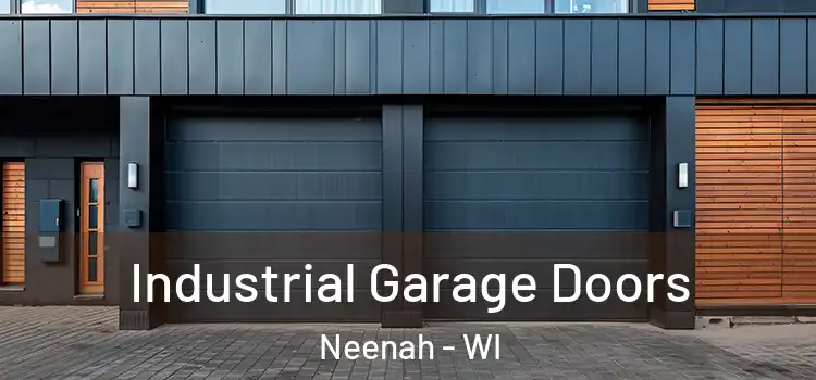  Industrial Garage Doors Neenah - WI