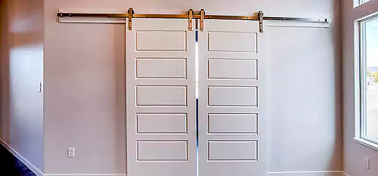 Glass Barn Door with Installation Hardware Kit Neenah