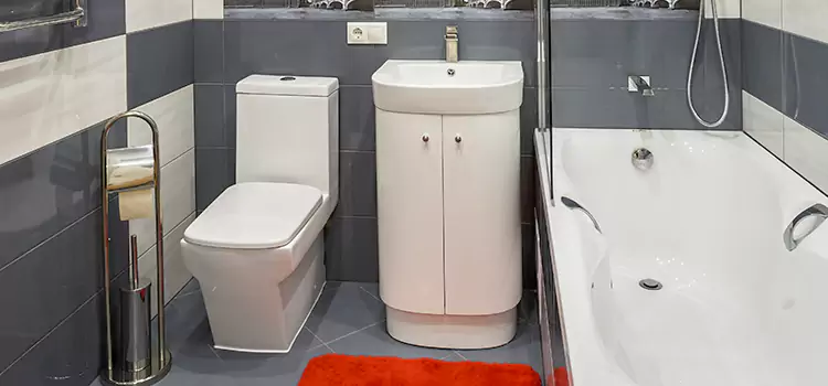 Hansgrohe Shaving Mirror Neenah