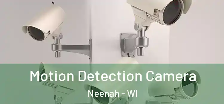  Motion Detection Camera Neenah - WI