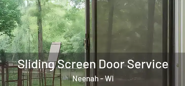  Sliding Screen Door Service Neenah - WI
